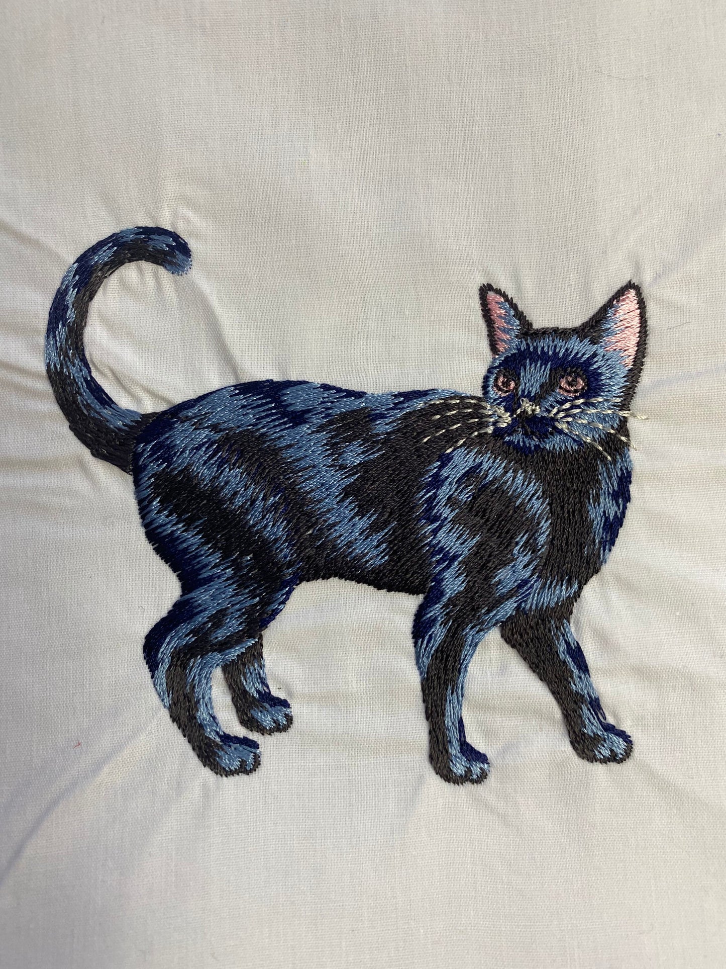 Halloween costume shirt tee tshirt t-shirt BOO Witch Mirror spider scary creepy embroidered embroidery fun pretty