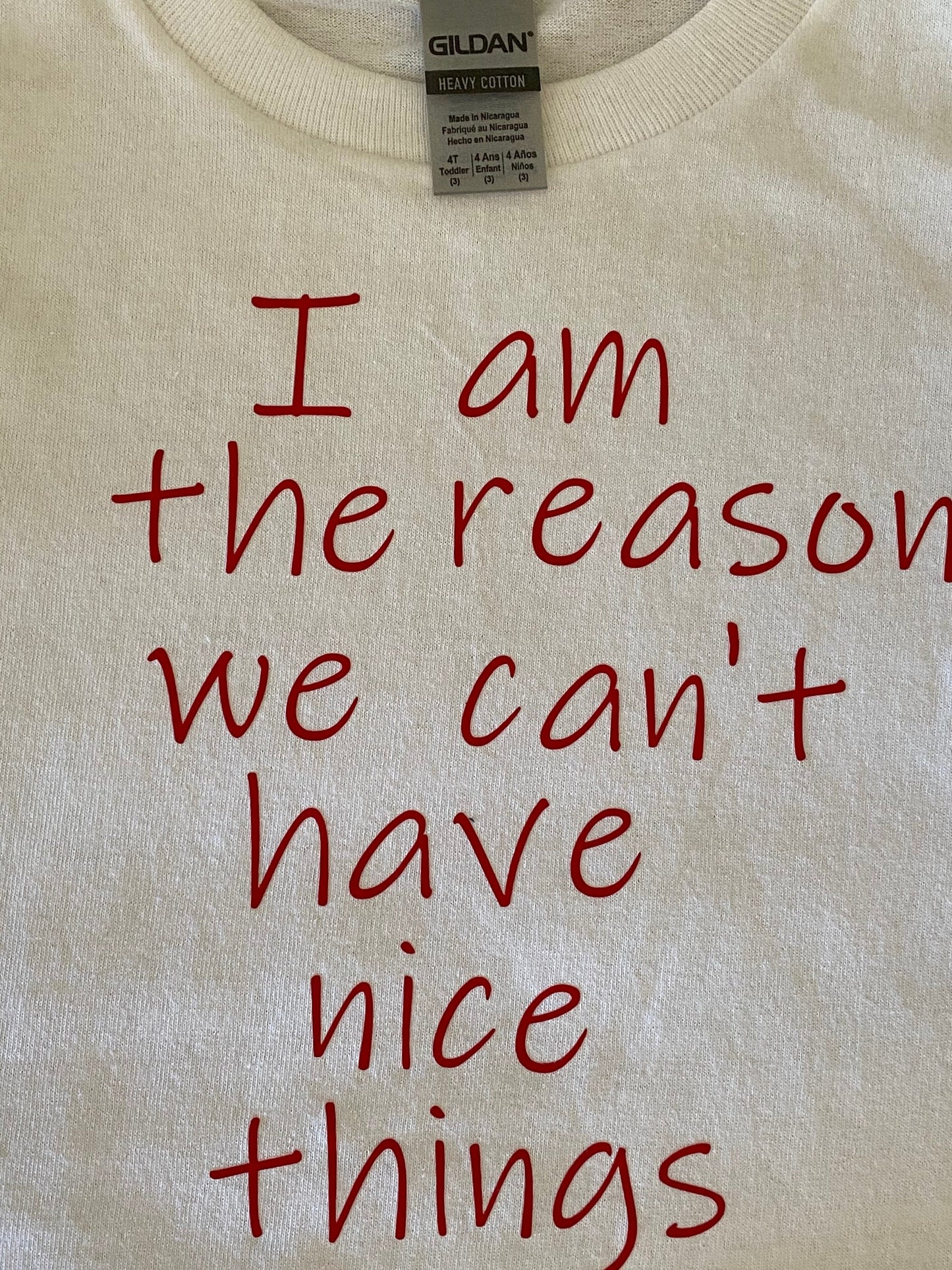 I am the reason we can't have nice things / funny shirt /funny tshirt/funny t shirt / cant have nice things/funny kids shirt/reckless gift