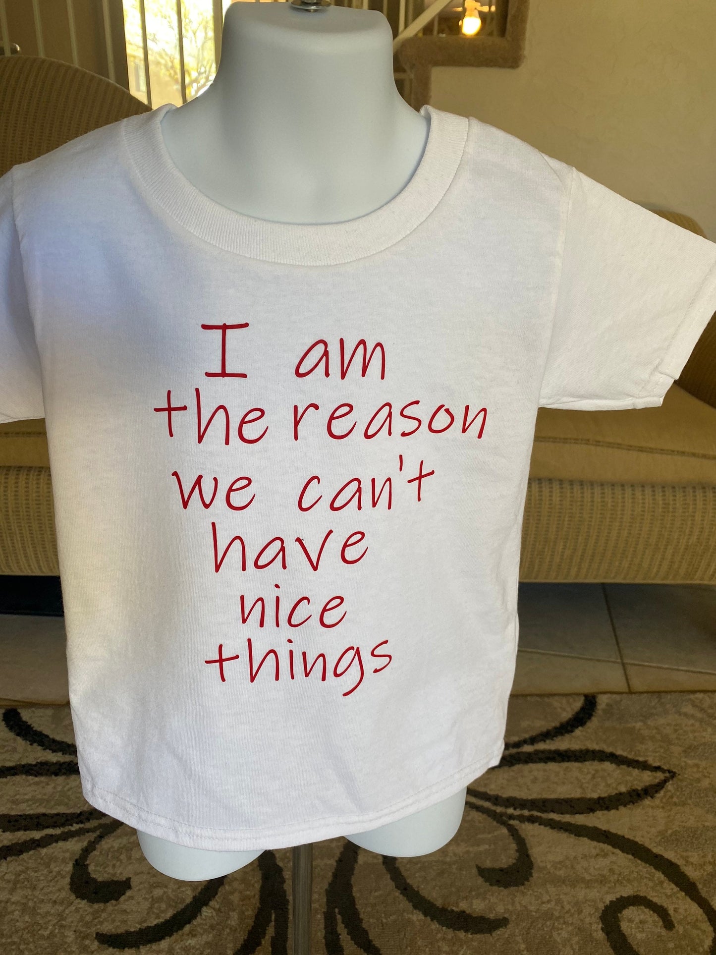 I am the reason we can't have nice things / funny shirt /funny tshirt/funny t shirt / cant have nice things/funny kids shirt/reckless gift